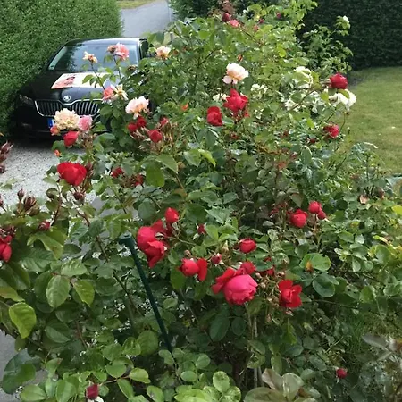 Schlosschen Am Vakantiehuis Ærøskøbing